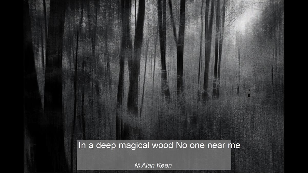 00_In a deep magical wood No one near me_Alan Keen